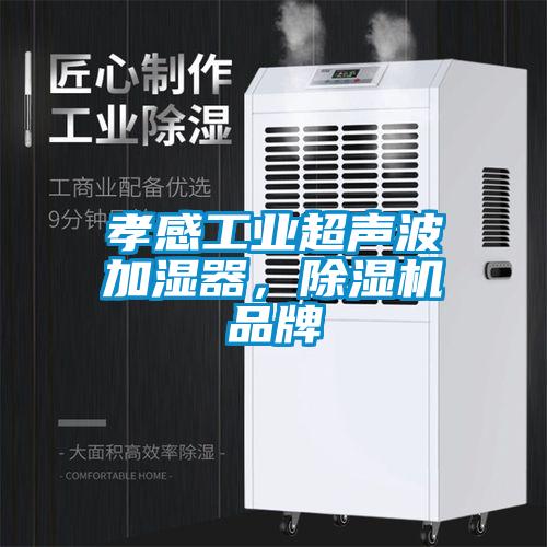 孝感工業(yè)超聲波加濕器，除濕機品牌