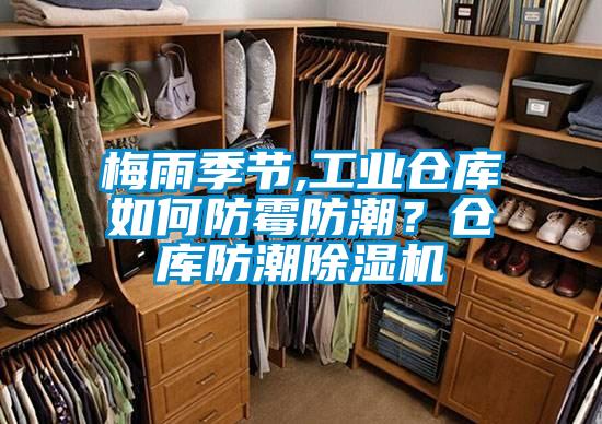 梅雨季節,工業倉庫如何防霉防潮?倉庫防潮除濕機