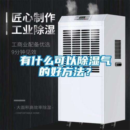 有什么可以除濕氣的好方法？