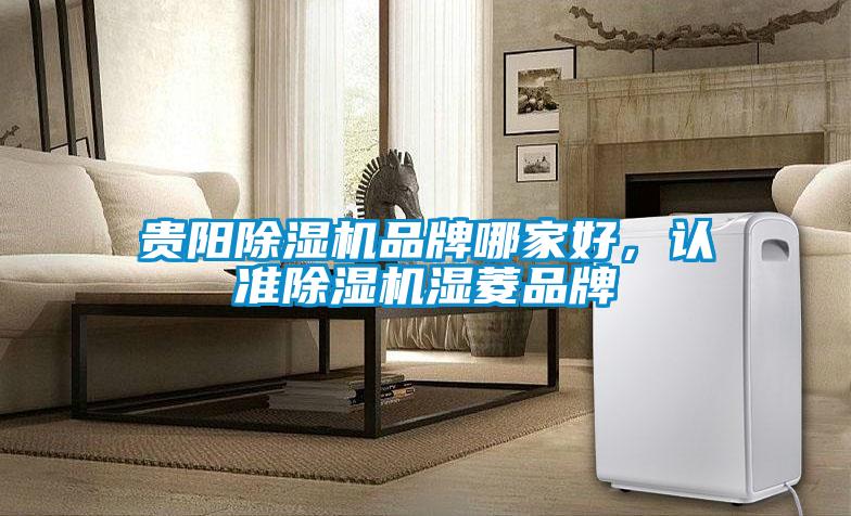 貴陽除濕機品牌哪家好,認準除濕機濕菱品牌
