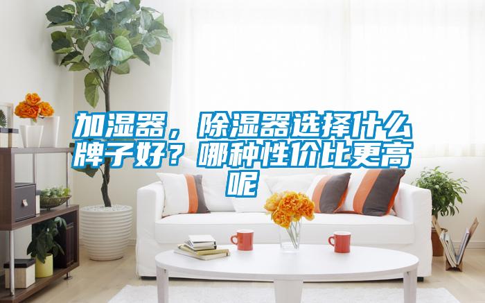 加濕器,除濕器選擇什么牌子好?哪種性價比更高呢