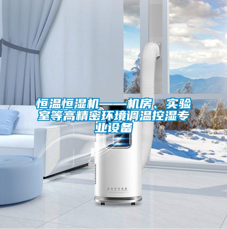 恒溫恒濕機(jī)——機(jī)房、實(shí)驗(yàn)室等高精密環(huán)境調(diào)溫控濕專業(yè)設(shè)備