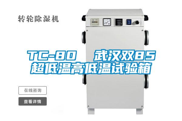 TC-80 武漢雙85超低溫高低溫試驗箱
