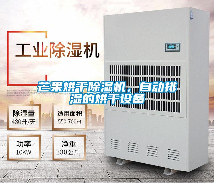 芒果烘干除濕機,自動排濕的烘干設(shè)備