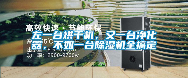 左一臺烘干機，又一臺凈化器，不如一臺除濕機全搞定