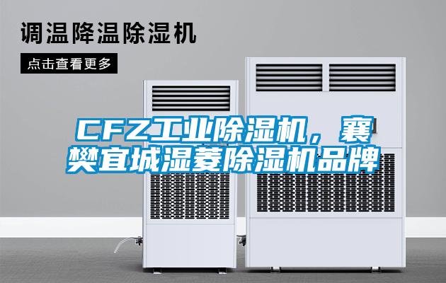 CFZ工業除濕機,襄樊宜城濕菱除濕機品牌