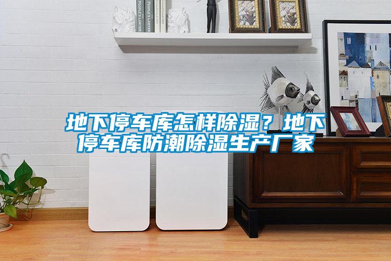 地下停車庫怎樣除濕？地下停車庫防潮除濕生產廠家