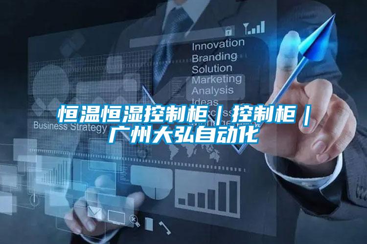 恒溫恒濕控制柜|控制柜|廣州大弘自動(dòng)化