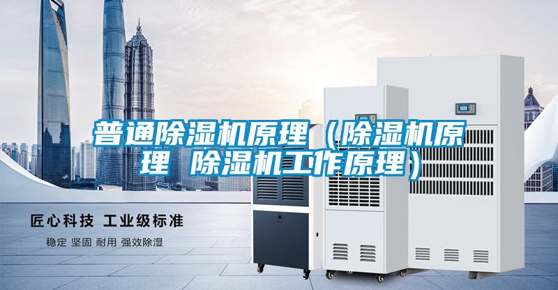 普通除濕機原理(除濕機原理 除濕機工作原理)