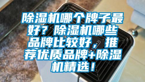 除濕機哪個牌子最好?除濕機哪些品牌比較好,推薦優質品牌+除濕機精選!