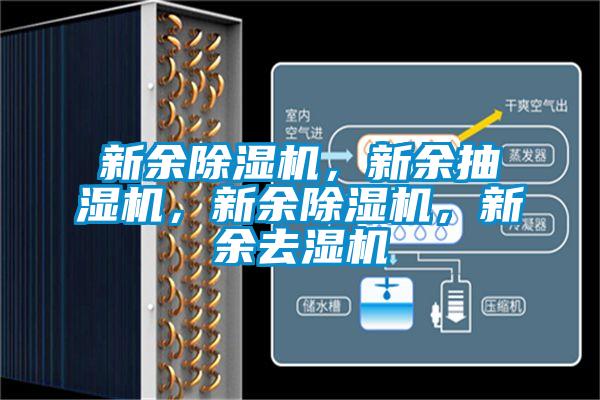 新余除濕機(jī),新余抽濕機(jī),新余除濕機(jī),新余去濕機(jī)