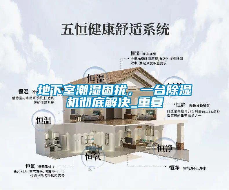 地下室潮濕困擾,一臺(tái)除濕機(jī)徹底解決_重復(fù)