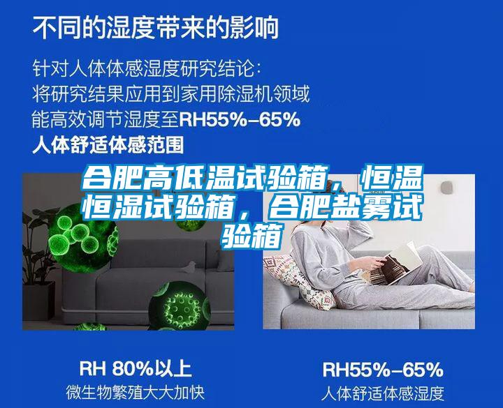 合肥高低溫試驗(yàn)箱,恒溫恒濕試驗(yàn)箱,合肥鹽霧試驗(yàn)箱