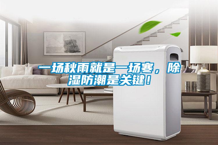 一場秋雨就是一場寒,除濕防潮是關鍵!
