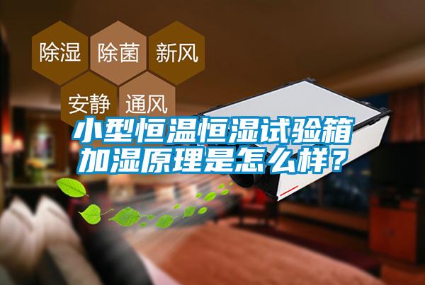 小型恒溫恒濕試驗(yàn)箱加濕原理是怎么樣？