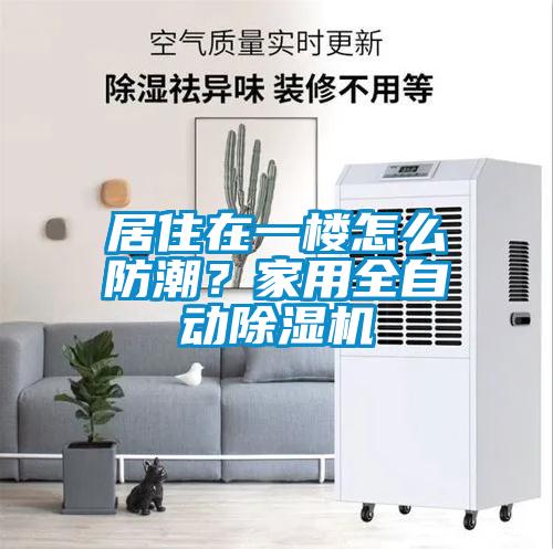 居住在一樓怎么防潮？家用全自動除濕機
