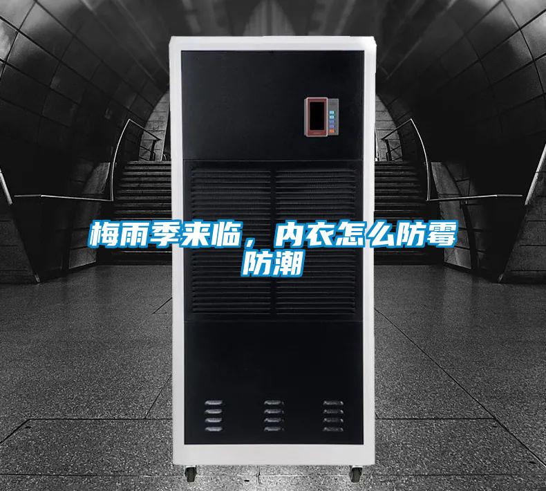 梅雨季來臨，內(nèi)衣怎么防霉防潮