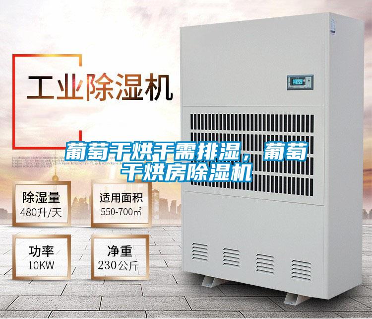 葡萄干烘干需排濕,葡萄干烘房除濕機