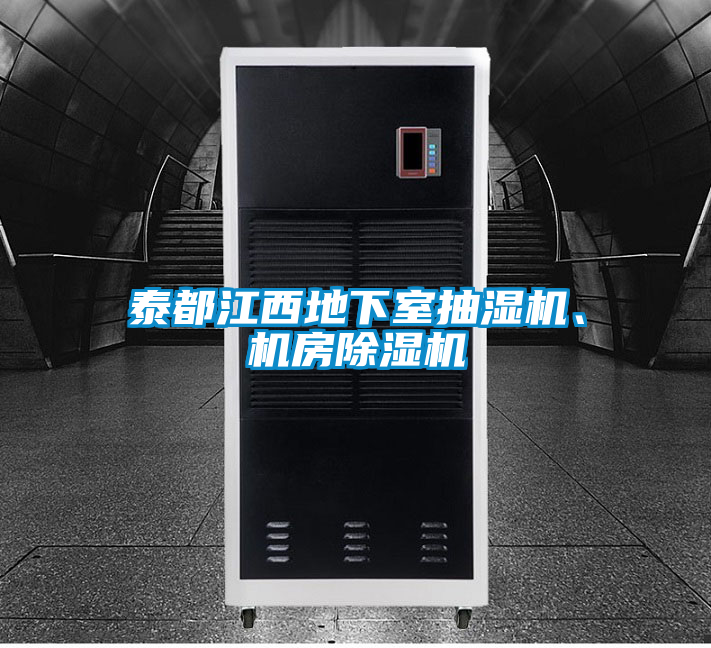 泰都江西地下室抽濕機(jī)、機(jī)房除濕機(jī)