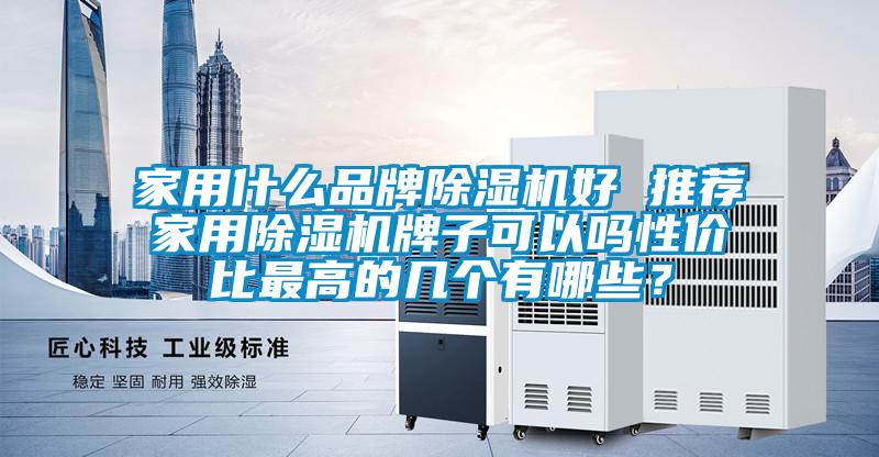 家用什么品牌除濕機好 推薦家用除濕機牌子可以嗎性價比最高的幾個有哪些？