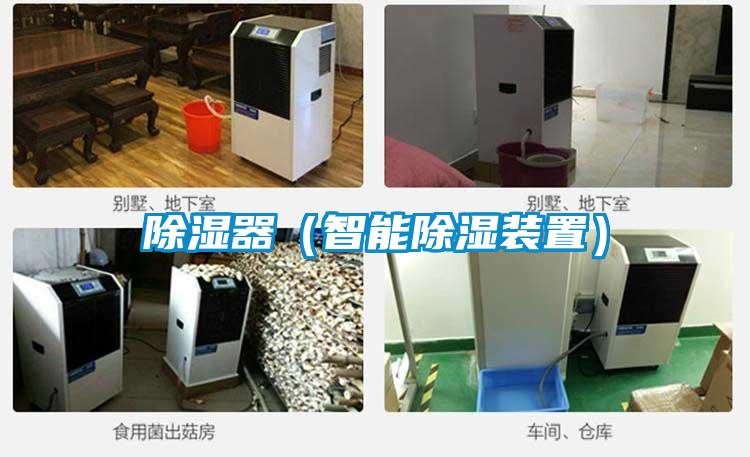 除濕器(智能除濕裝置)