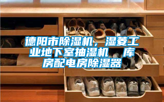 德陽市除濕機，濕菱工業地下室抽濕機  庫房配電房除濕器