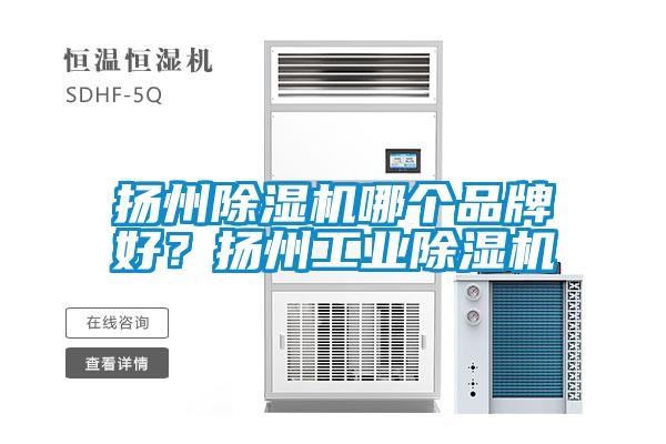 揚州除濕機哪個品牌好?揚州工業除濕機