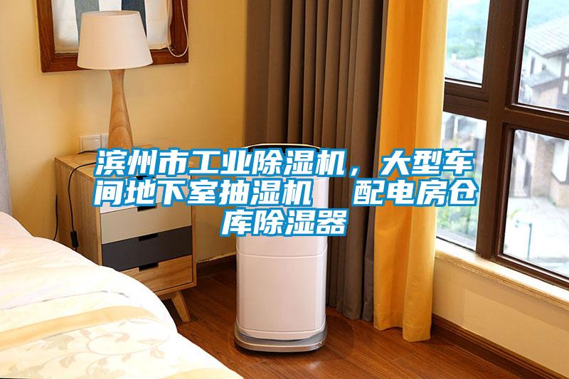 濱州市工業除濕機,大型車間地下室抽濕機 配電房倉庫除濕器