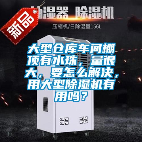 大型倉庫車間棚頂有水珠，量很大，要怎么解決，用大型除濕機有用嗎？