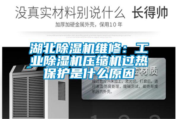 湖北除濕機維修:工業(yè)除濕機壓縮機過熱保護是什么原因
