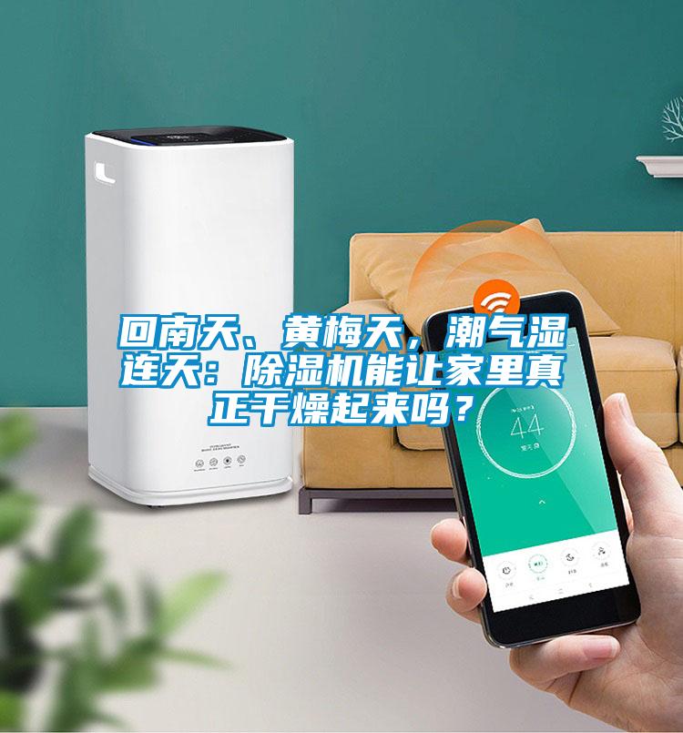 回南天、黃梅天，潮氣濕連天：除濕機能讓家里真正干燥起來嗎？