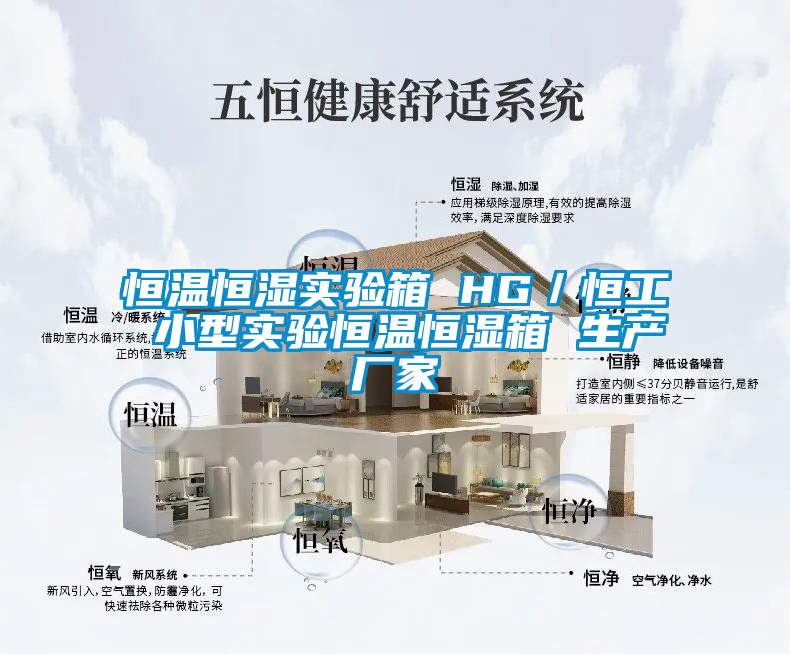 恒溫恒濕實(shí)驗(yàn)箱 HG/恒工 小型實(shí)驗(yàn)恒溫恒濕箱 生產(chǎn)廠家