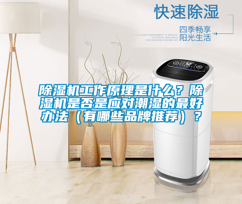 除濕機工作原理是什么?除濕機是否是應對潮濕的最好辦法(有哪些品牌推薦)?