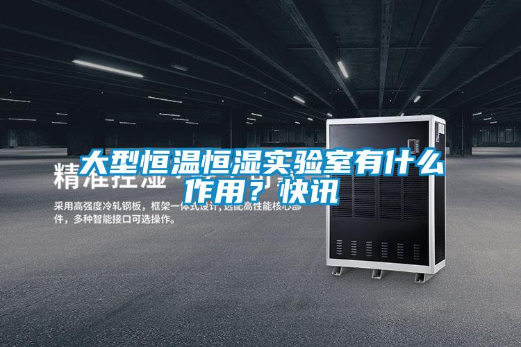 大型恒溫恒濕實驗室有什么作用?快訊