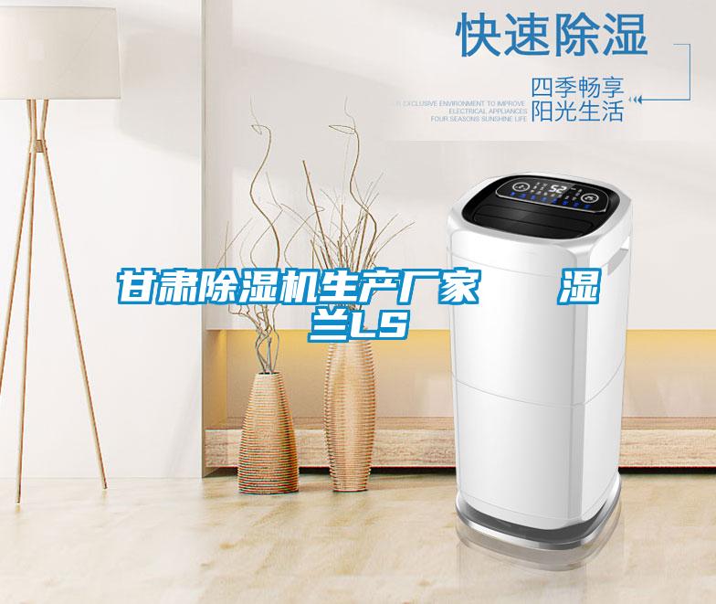 甘肅除濕機生產廠家 濕蘭LS