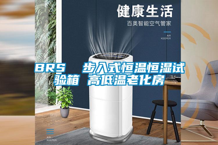BRS 步入式恒溫恒濕試驗箱 高低溫老化房