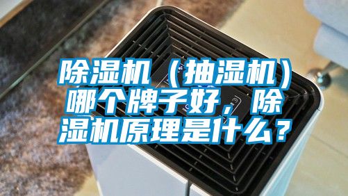 除濕機(jī)(抽濕機(jī))哪個(gè)牌子好,除濕機(jī)原理是什么?