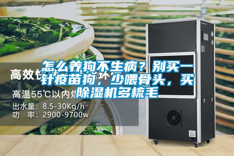 怎么養狗不生??？別買一針疫苗狗，少喂骨頭，買除濕機多梳毛