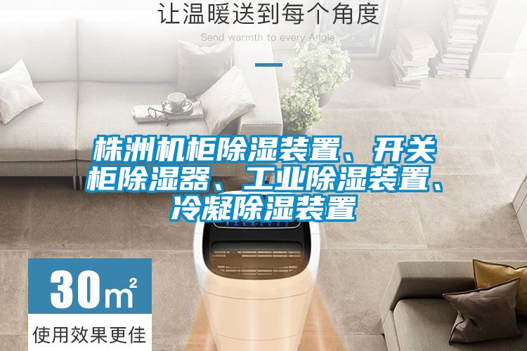 株洲機柜除濕裝置、開關柜除濕器、工業除濕裝置、冷凝除濕裝置