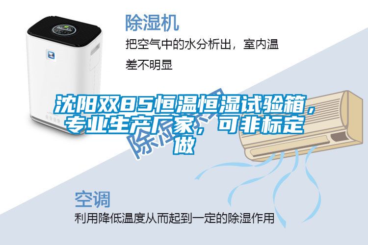 沈陽(yáng)雙85恒溫恒濕試驗(yàn)箱,專(zhuān)業(yè)生產(chǎn)廠家,可非標(biāo)定做