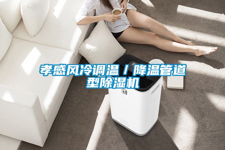 孝感風(fēng)冷調(diào)溫/降溫管道型除濕機