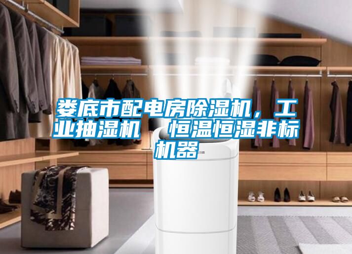 婁底市配電房除濕機,工業(yè)抽濕機 恒溫恒濕非標機器