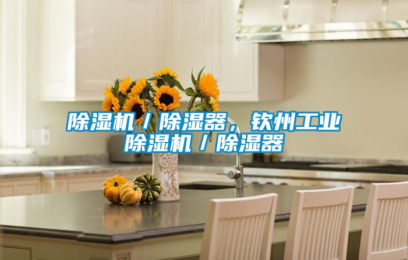 除濕機／除濕器，欽州工業除濕機／除濕器