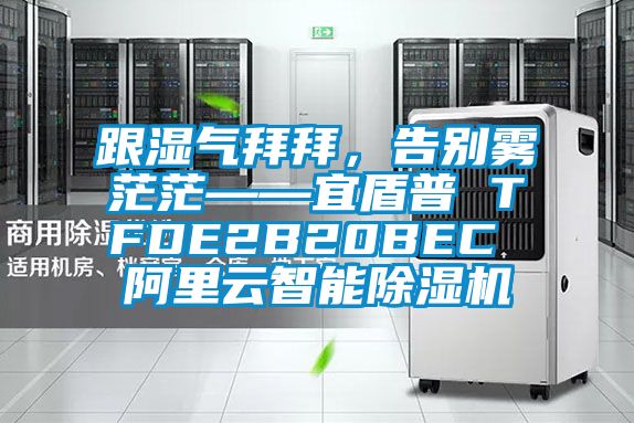 跟濕氣拜拜，告別霧茫茫——宜盾普 TFDE2B20BEC 阿里云智能除濕機