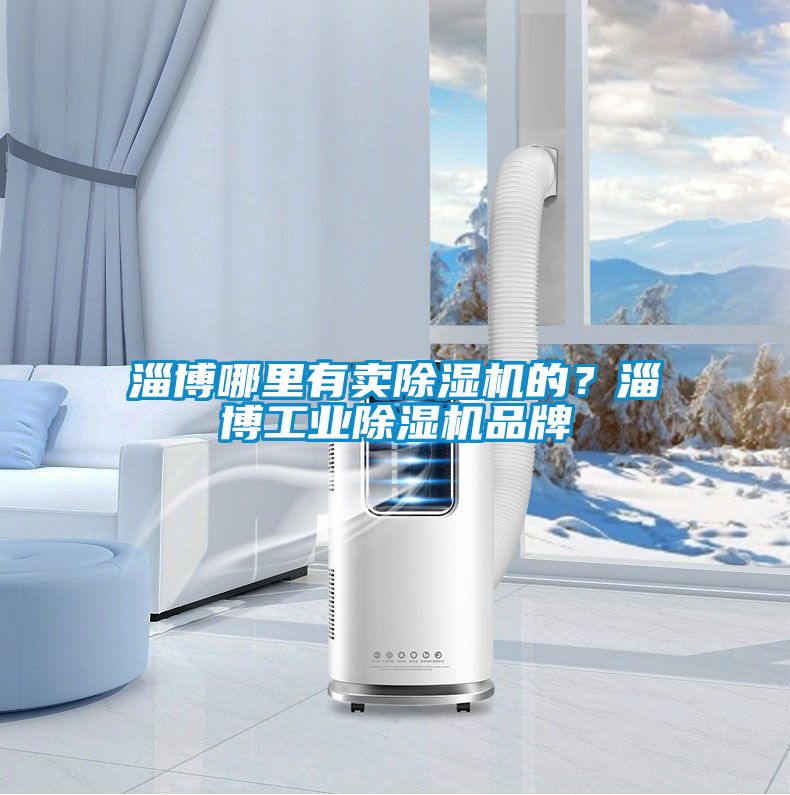 淄博哪里有賣除濕機的?淄博工業(yè)除濕機品牌