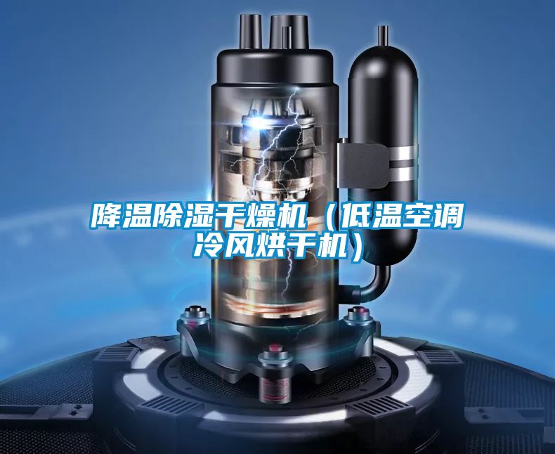 降溫除濕干燥機（低溫空調(diào)冷風(fēng)烘干機）