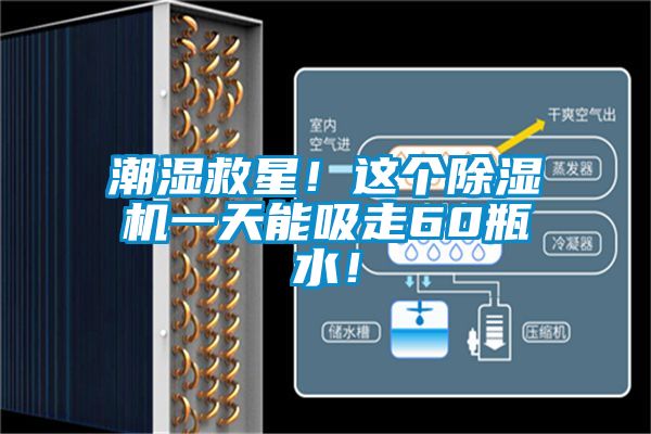 潮濕救星！這個除濕機一天能吸走60瓶水！