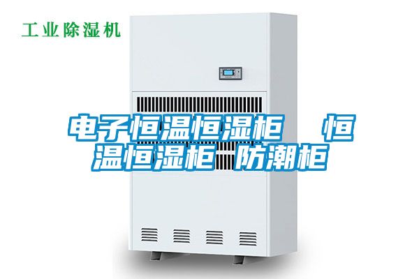電子恒溫恒濕柜 恒溫恒濕柜 防潮柜