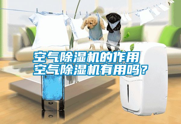 空氣除濕機的作用 空氣除濕機有用嗎？