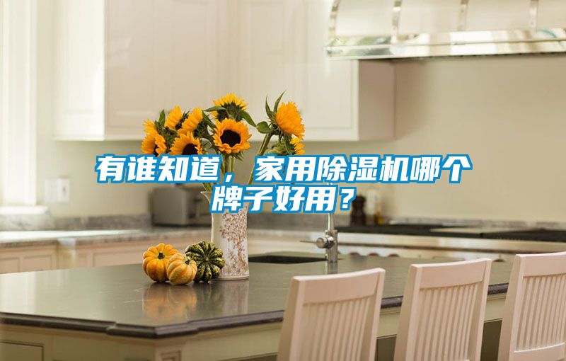 有誰知道，家用除濕機哪個牌子好用？